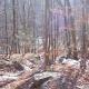 High Rocks - Tohickon Valley Park