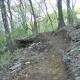 Trexler Nature Preserve
