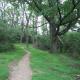 Trexler Nature Preserve