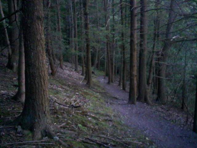 Single track bliss...