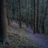 Single track bliss...
