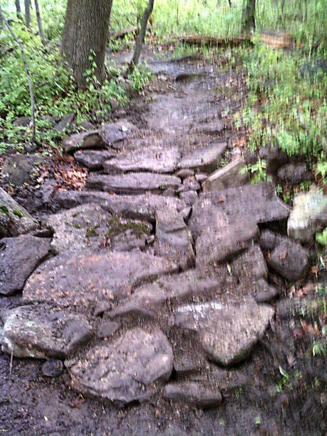 110507 Sals Armoring — Spot 2, near road crossing