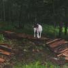 My Yard-Bridge 2