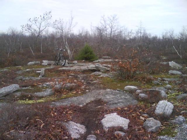 Moosic Mountain Trail Pics 14 of 15