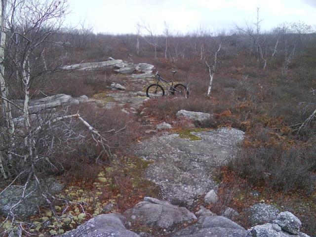 Moosic Mountain Trail Pics 13 of 15