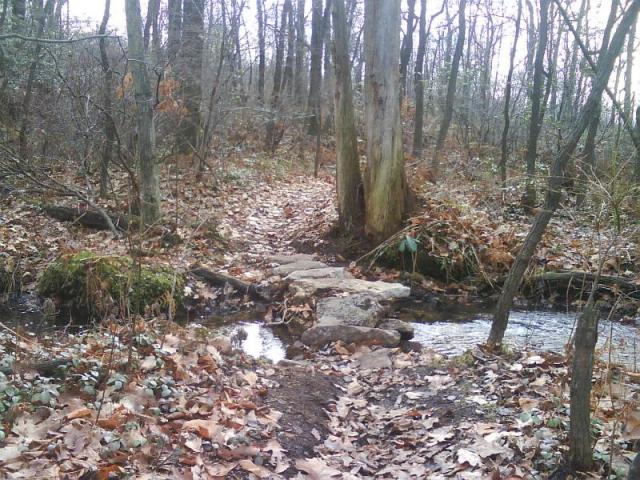 Moosic Mountain Trail Pics 7 of 15