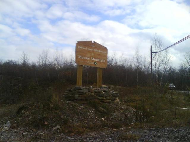 Moosic Mountain Trail Pics 1 of 15