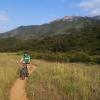 Big Sycamore Canyon
