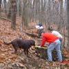 Orange Trail: Benchcutting