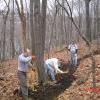Orange Trail: Benchcutting
