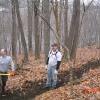 Orange Trail: Benchcutting