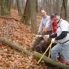 Lumberjacks at Sals