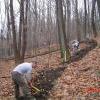 Orange Trail: Benchcutting