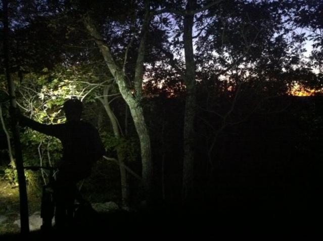 Get your fall night ride on!