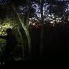 Get your fall night ride on! Get your fall night ride on!