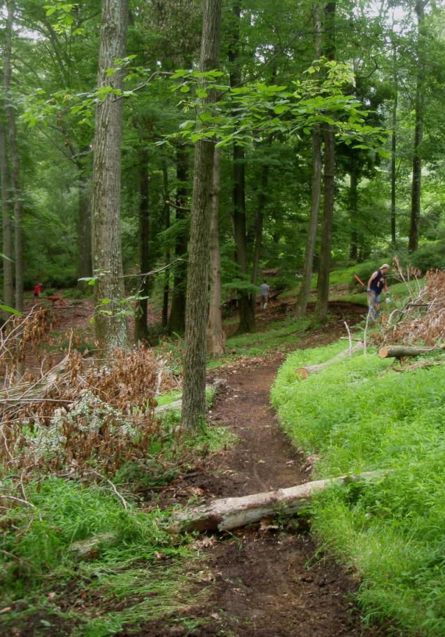 New Singletrack At Trexler